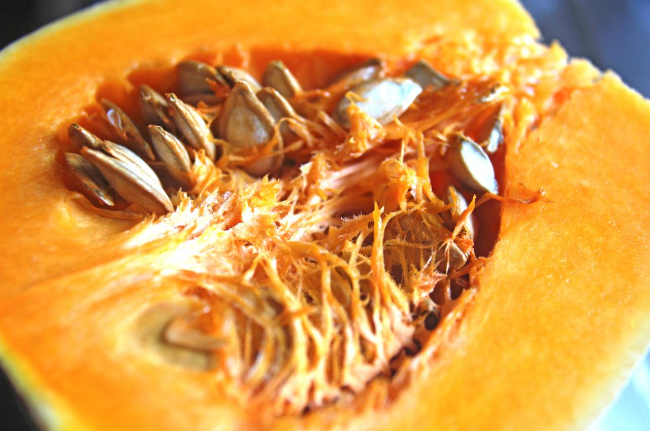 Can Wild Birds Eat Butternut Squash Seeds?: A Natural and Nutritious Treat